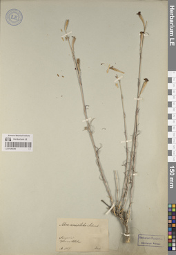 LE 01260349