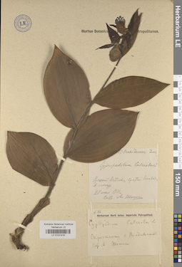 LE 01031418
