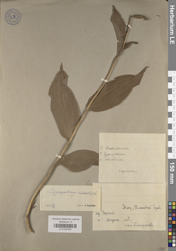 LE 01031423