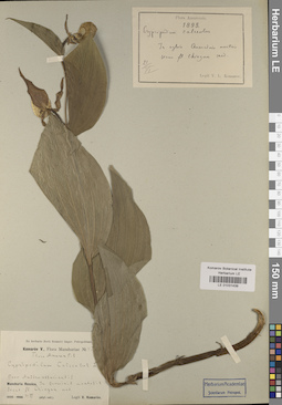 LE 01031439