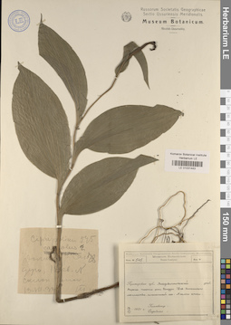 LE 01031443