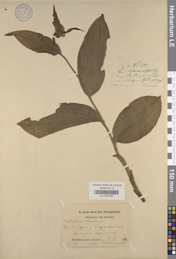 LE 01031449