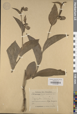 LE 01031459