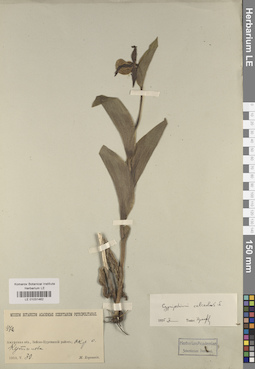 LE 01031462