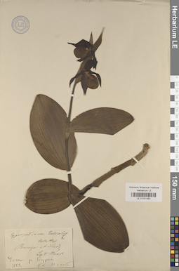 LE 01031463