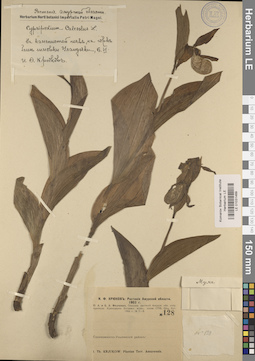 LE 01031469
