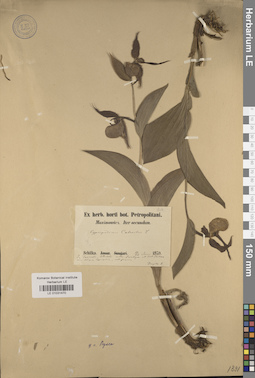 LE 01031470