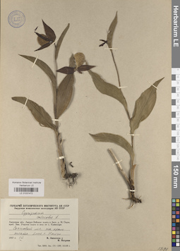 LE 01031472