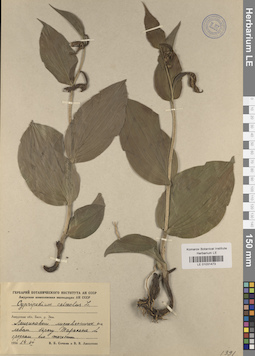 LE 01031473