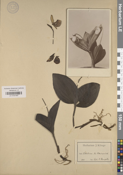 LE 01031487