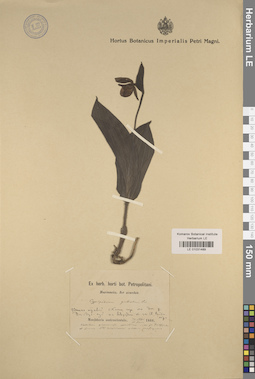 LE 01031489