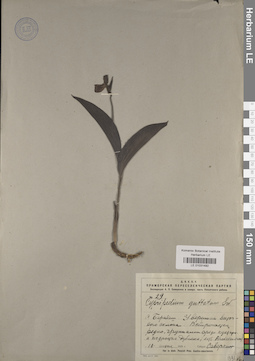 LE 01031492