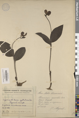 LE 01031502