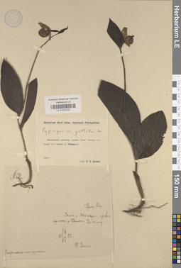 LE 01031522