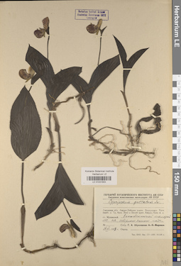 LE 01031553