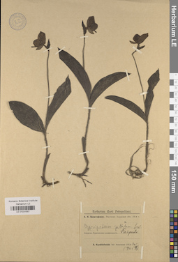 LE 01031557