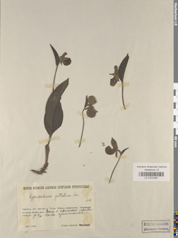 LE 01031561