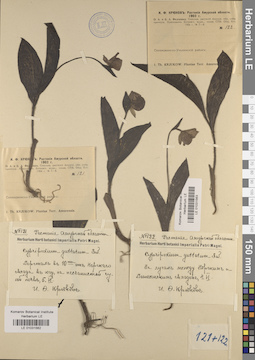 LE 01031562