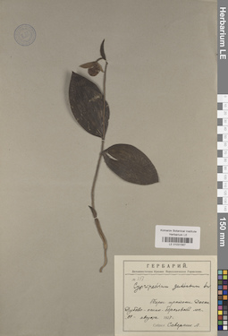 LE 01031567