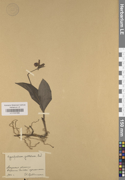 LE 01031569