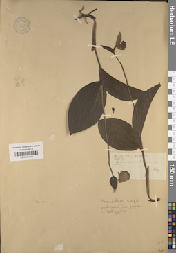 LE 01031570