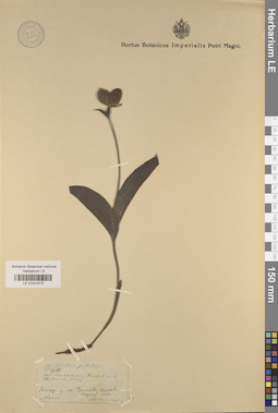 LE 01031573