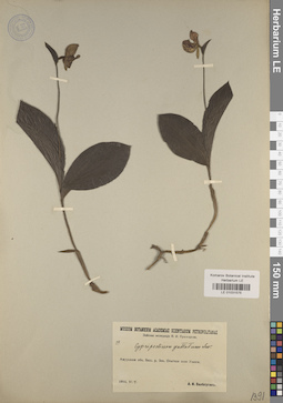 LE 01031575