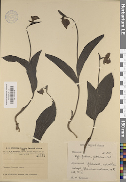 LE 01031576