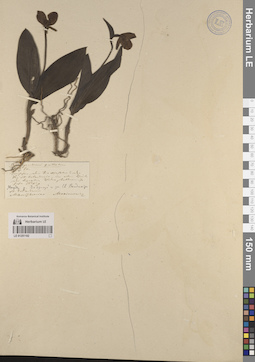 LE 01251102