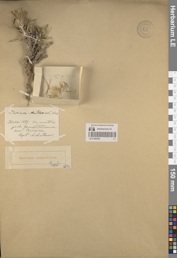 LE 01260394