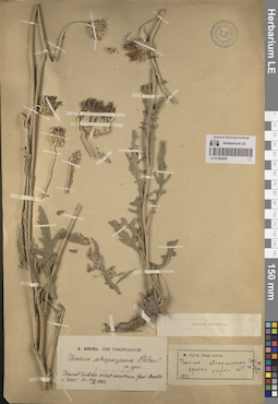 LE 01260399