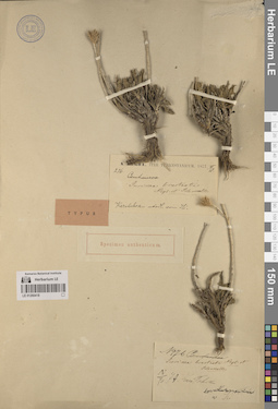 LE 01260418
