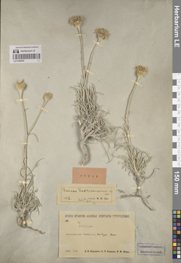 LE 01260445