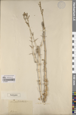 LE 01260497
