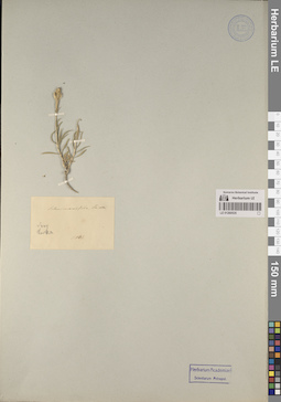 LE 01260535
