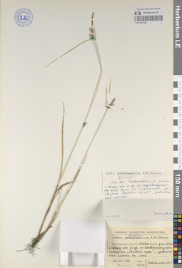 LE 01241538
