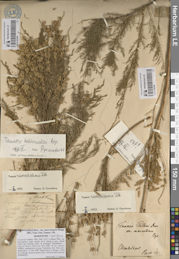 LE 01182288
