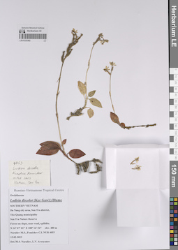 LE 01233362