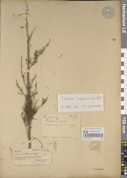 LE 01182294