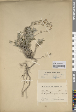 LE 01225579