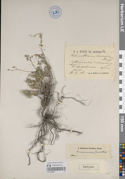 LE 01225580