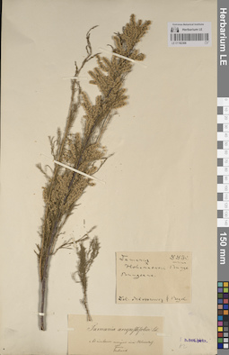 LE 01182308
