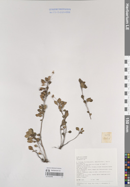 LE 01233708