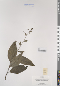 LE 01233718