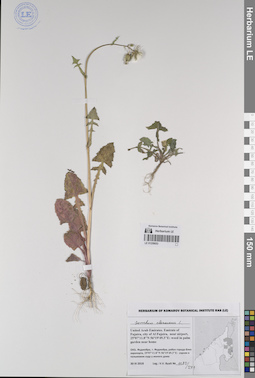 LE 01259053