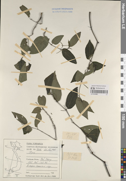 LE 01233808