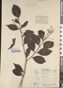 LE 01233816