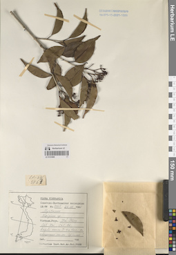 LE 01233869