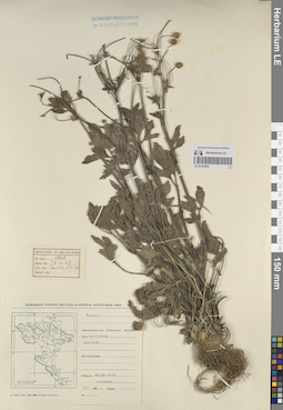 LE 01233903