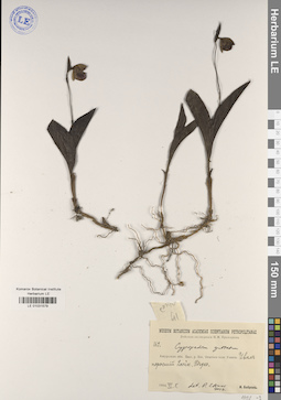 LE 01031579